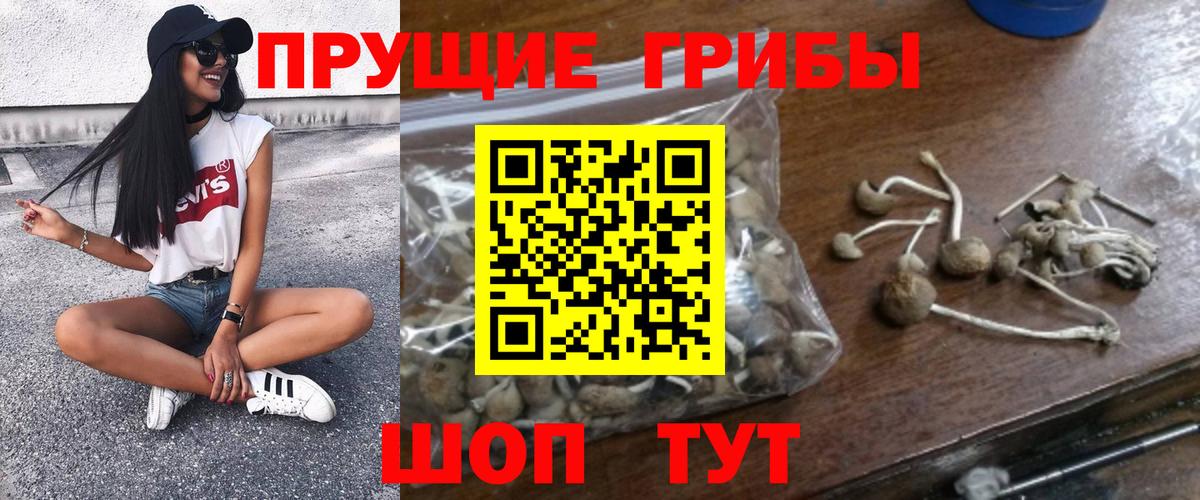 Галлюциногенные грибы ЛСД  Вход с VPN  Асино 