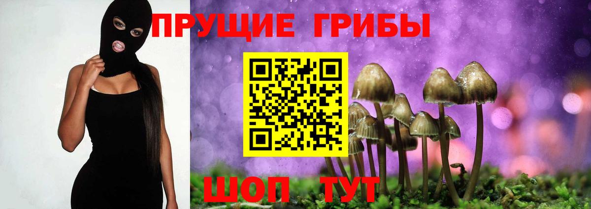Галлюциногенные грибы MAGIC MUSHROOMS Асино